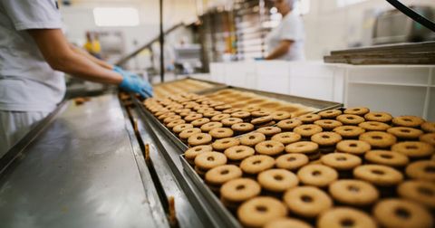 Guide to Food Manufacturing: Processes, Trends, Safety, and Practical Resources