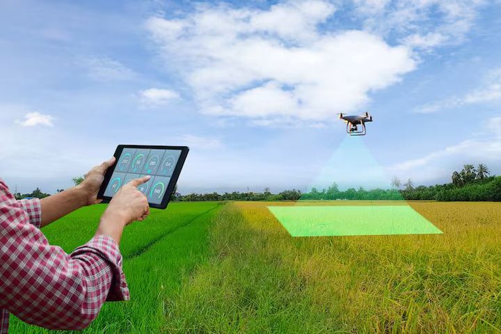 Exploring the Basics and Importance of Smart Farming Tools in Modern Agriculture