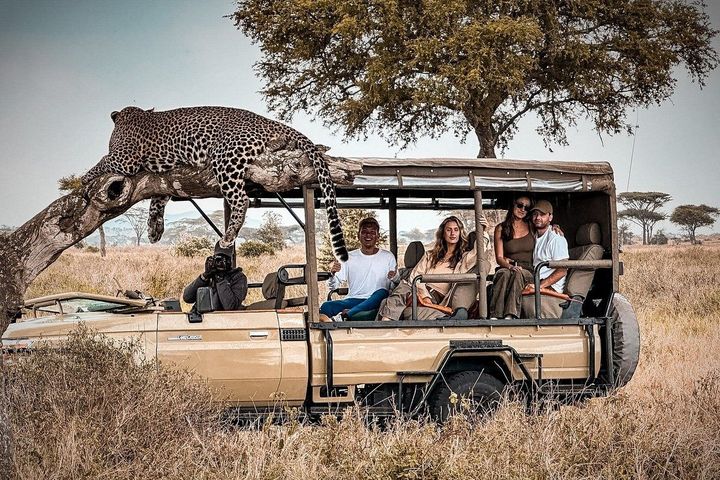 Guide to African Safari Travel: Experiences, Planning, Trends, and Practical Resources