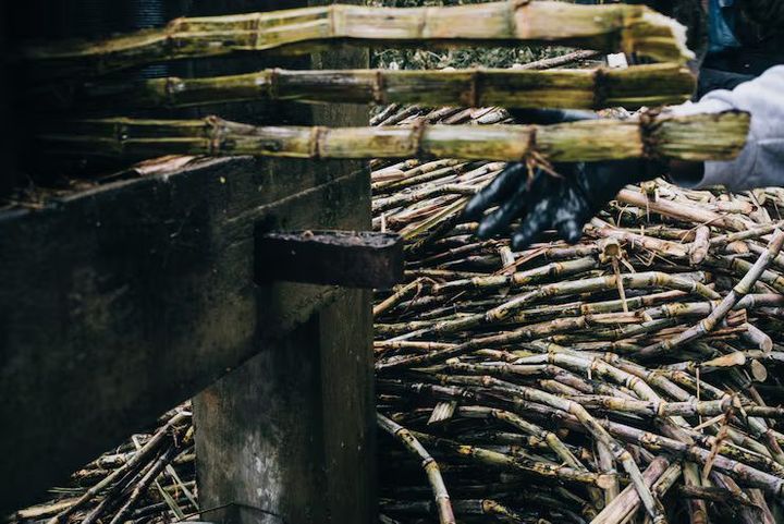Guide to Sugarcane Crushers: Processing Methods, Technology, and Industry Overview