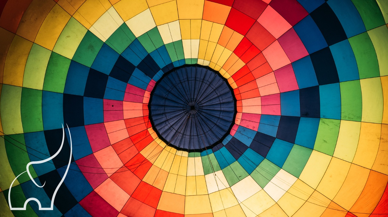 Guide to Chocolate Coating Machines: Technology, Processing, and Industry Overview